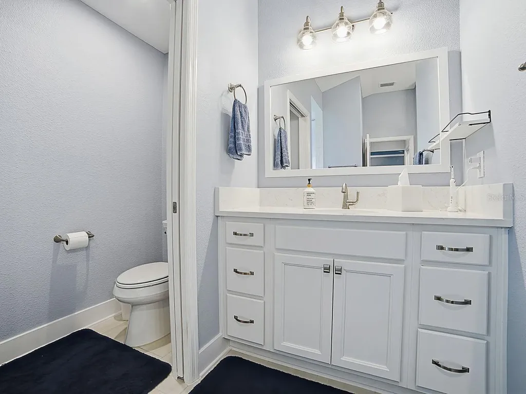 4258 Widmann Place The Villages FL 32163