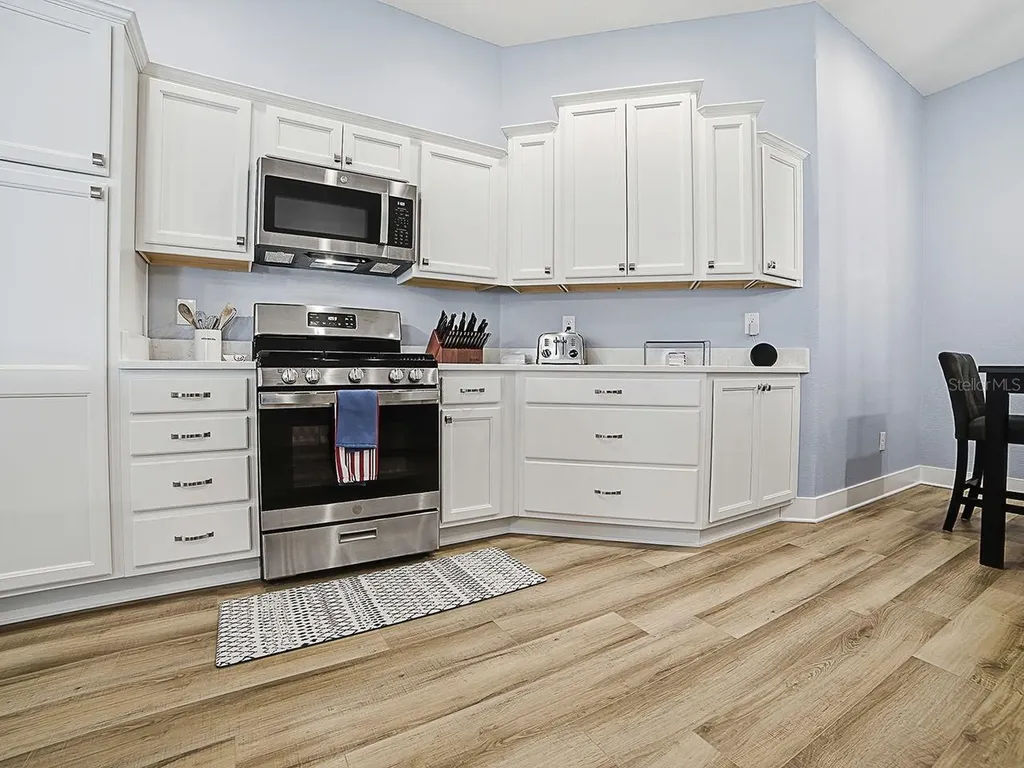 4258 Widmann Place The Villages FL 32163