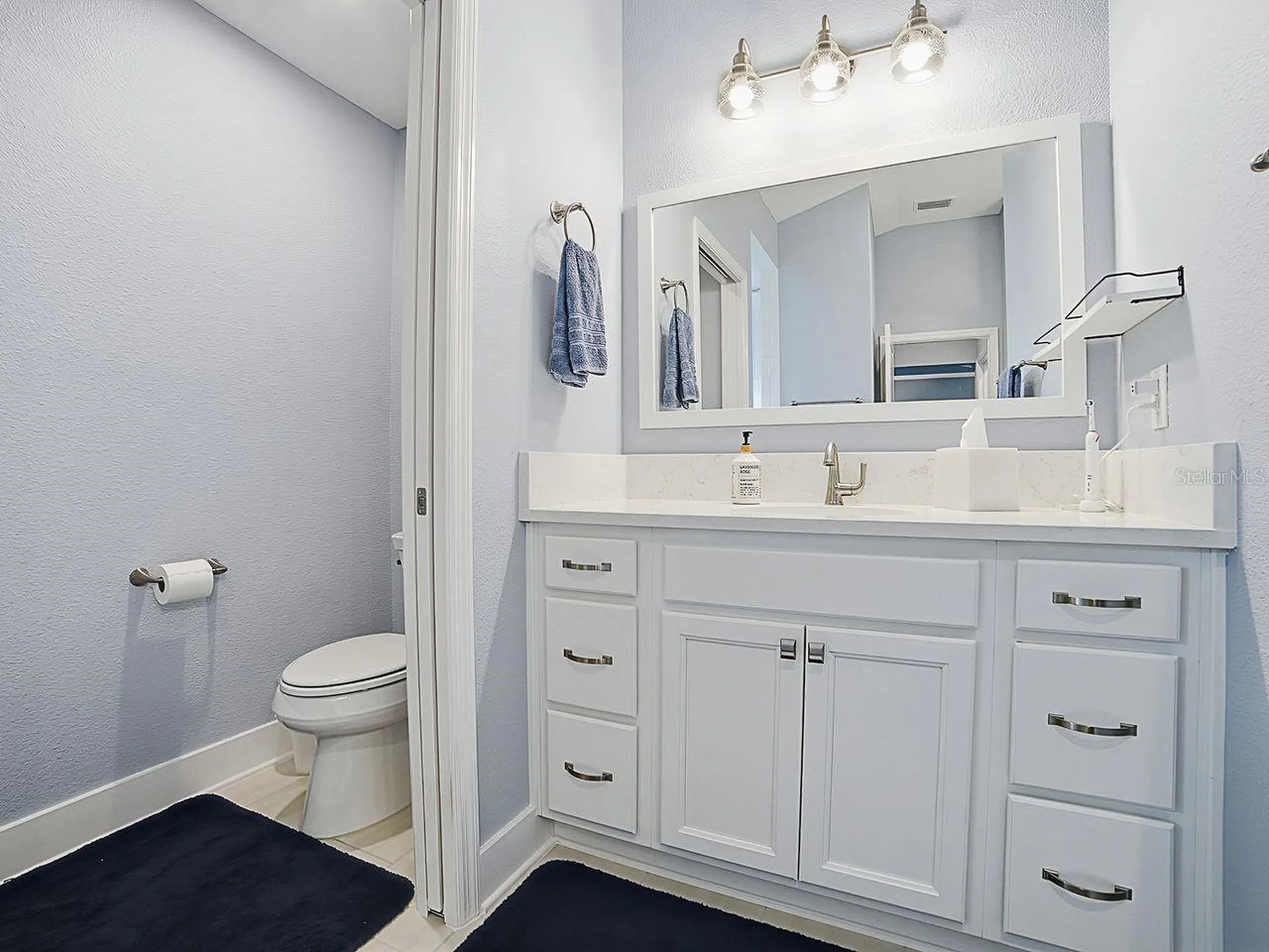 4258 Widmann Place The Villages FL 32163