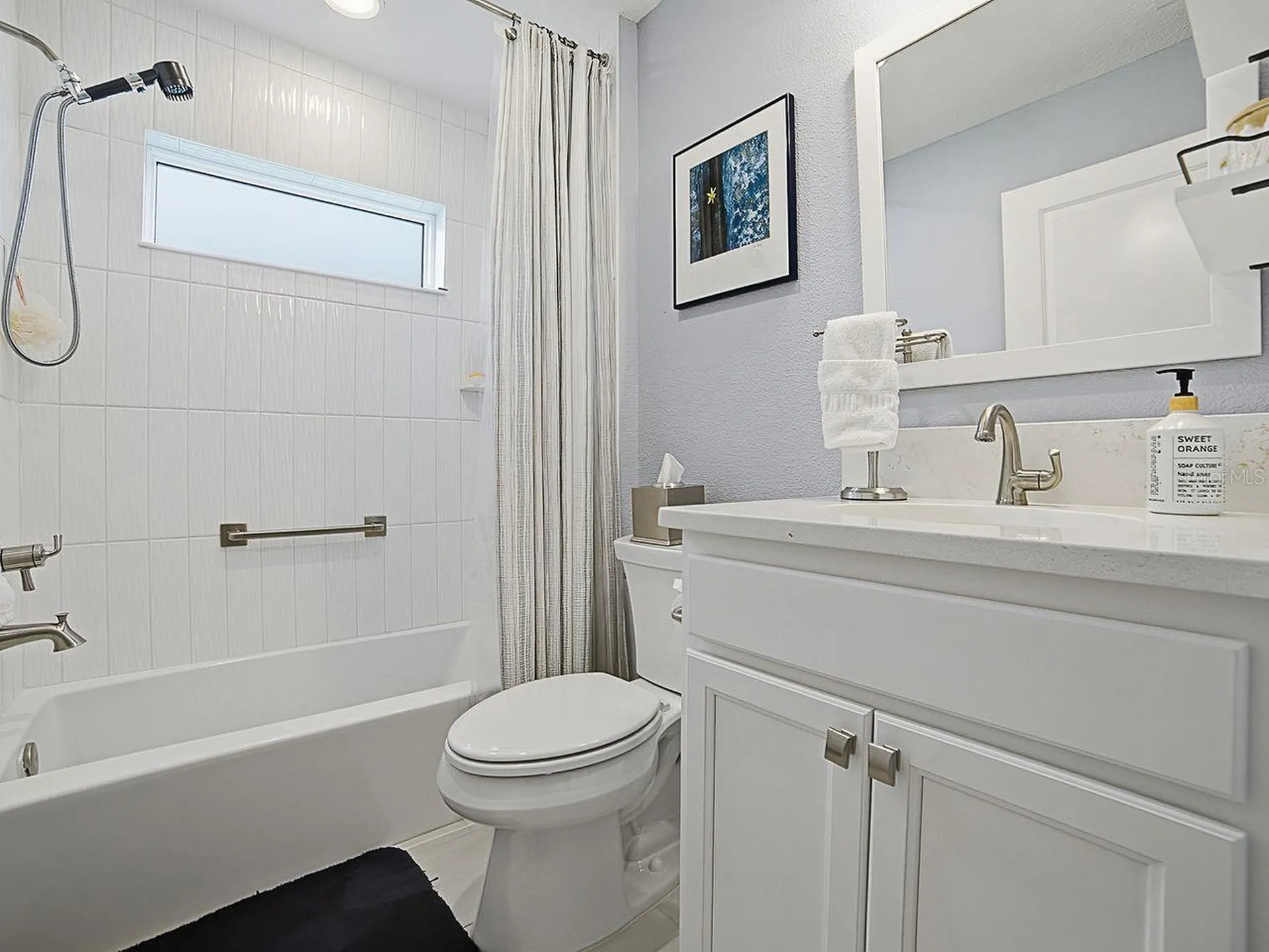 4258 Widmann Place The Villages FL 32163