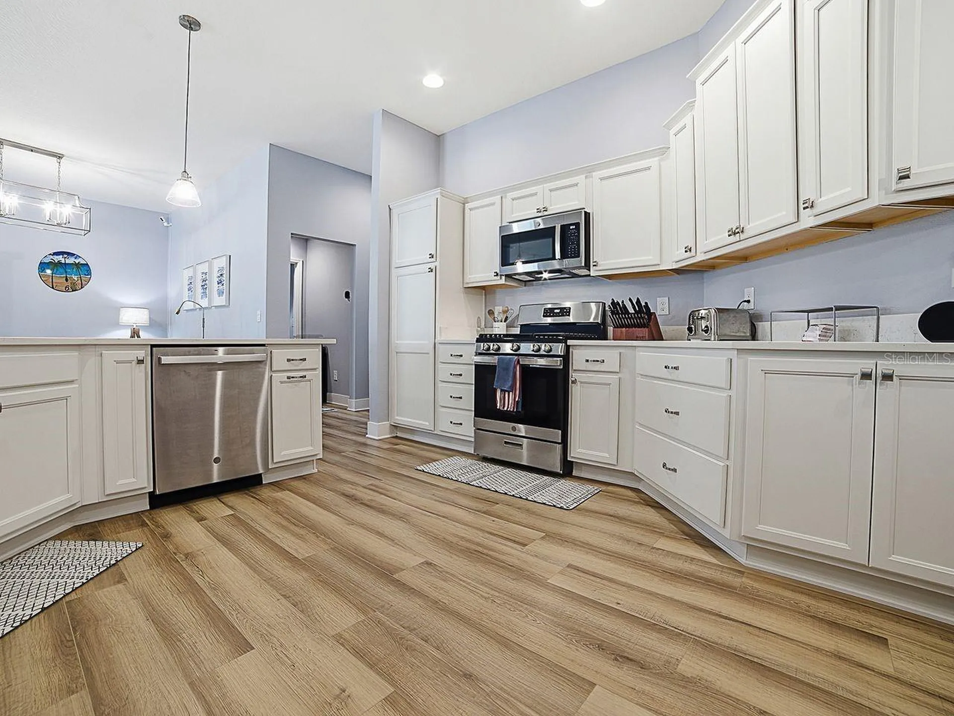 4258 Widmann Place The Villages FL 32163