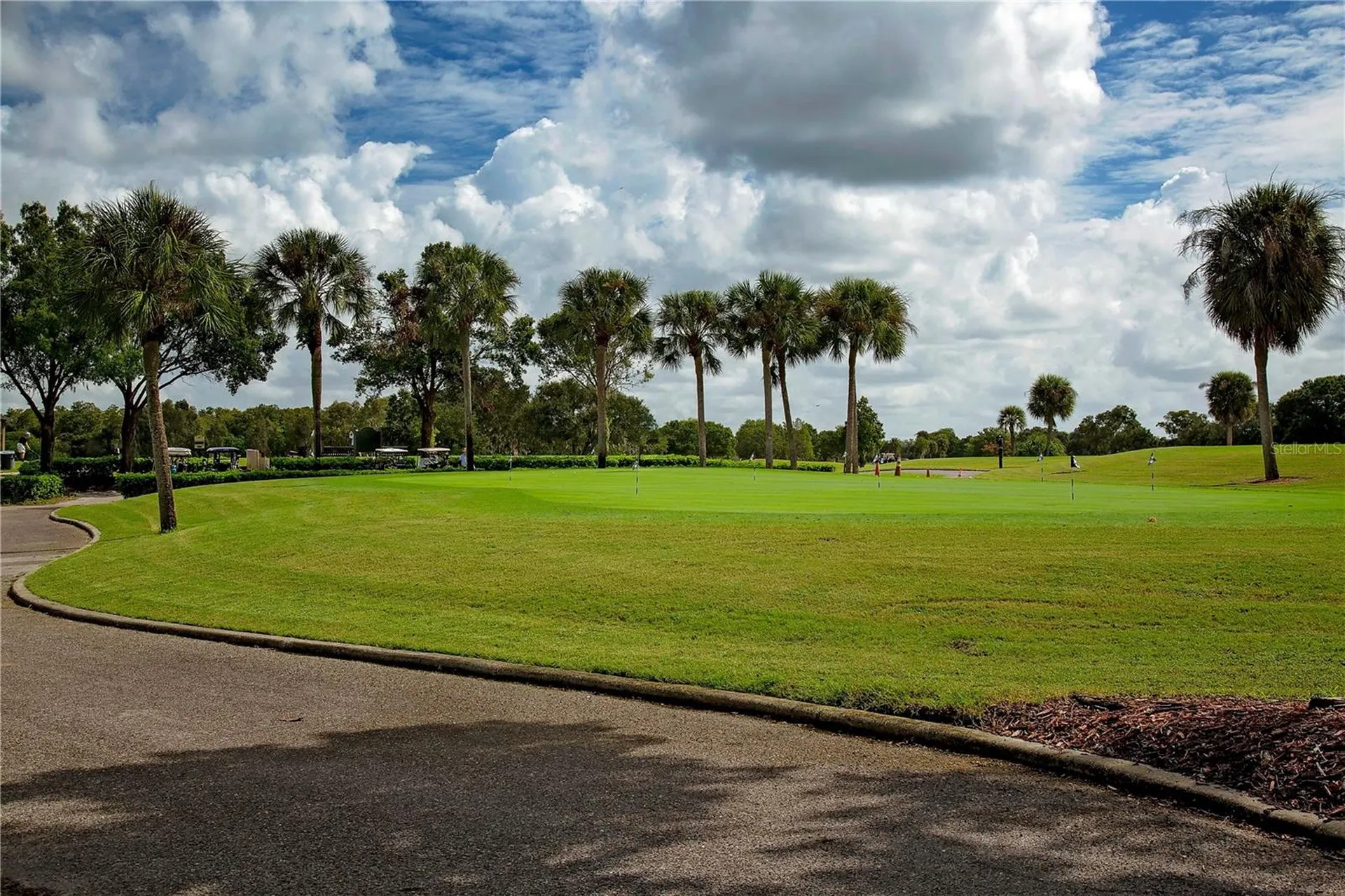 2042 Prestancia Lane Sun City Center FL 33573