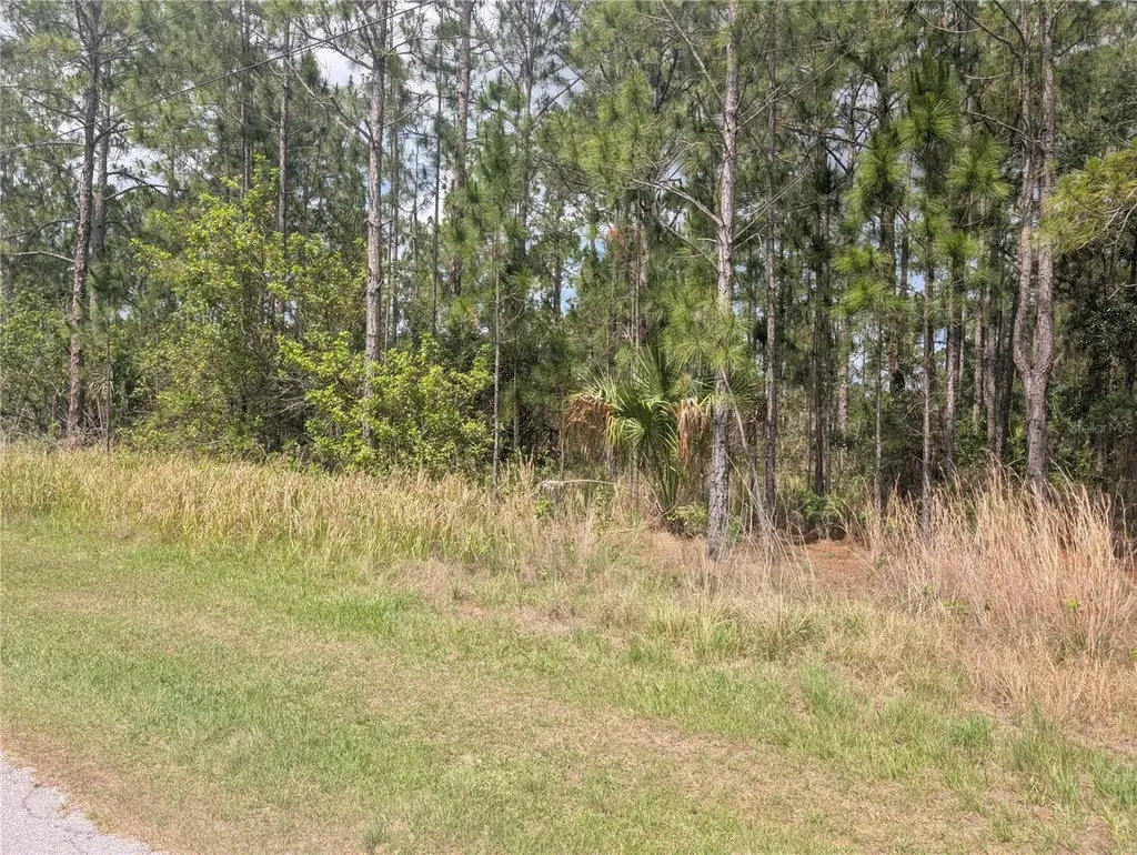 25 Amaryllis Drive Indian Lake Estates FL 33855