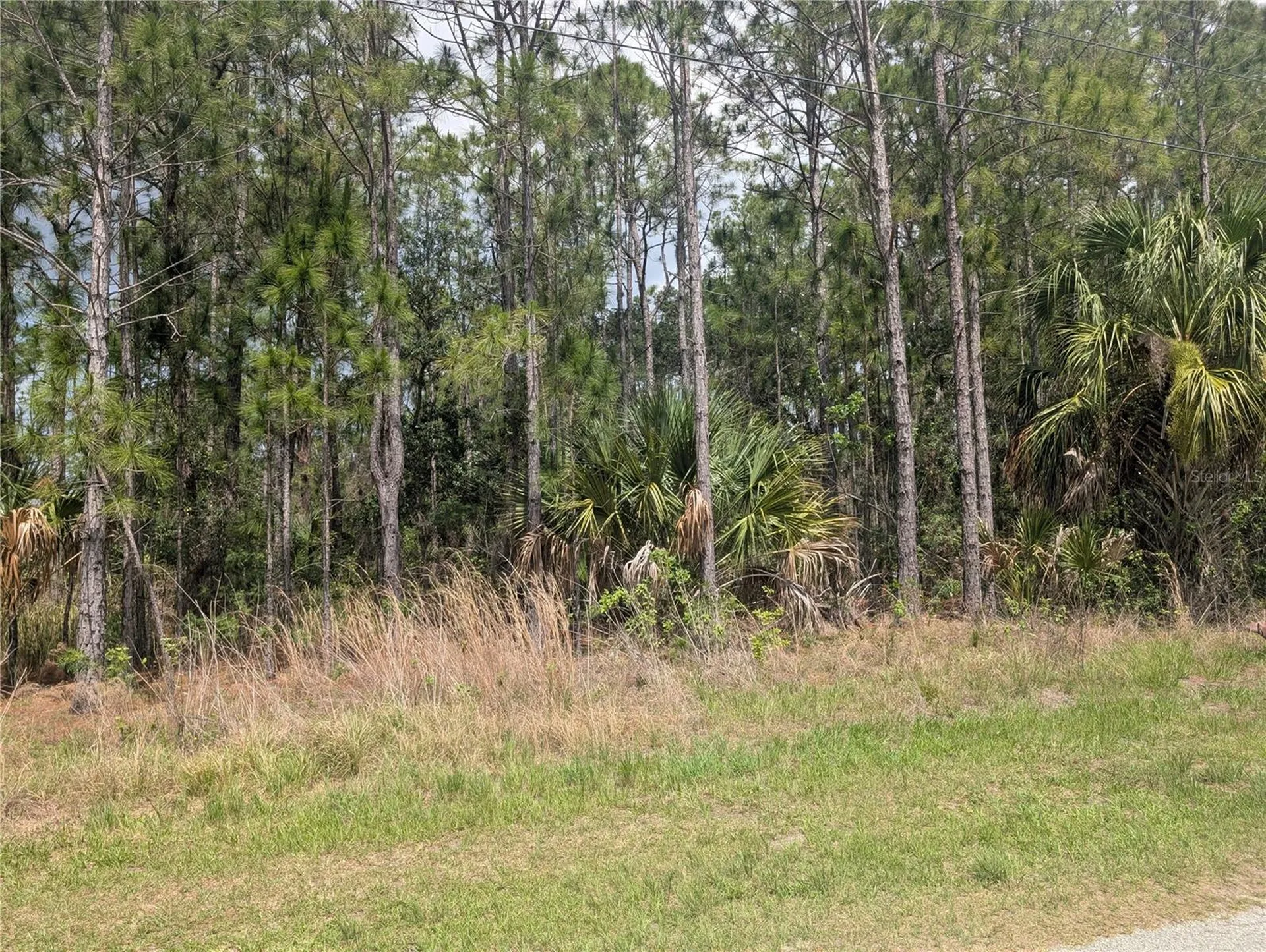 25 Amaryllis Drive Indian Lake Estates FL 33855