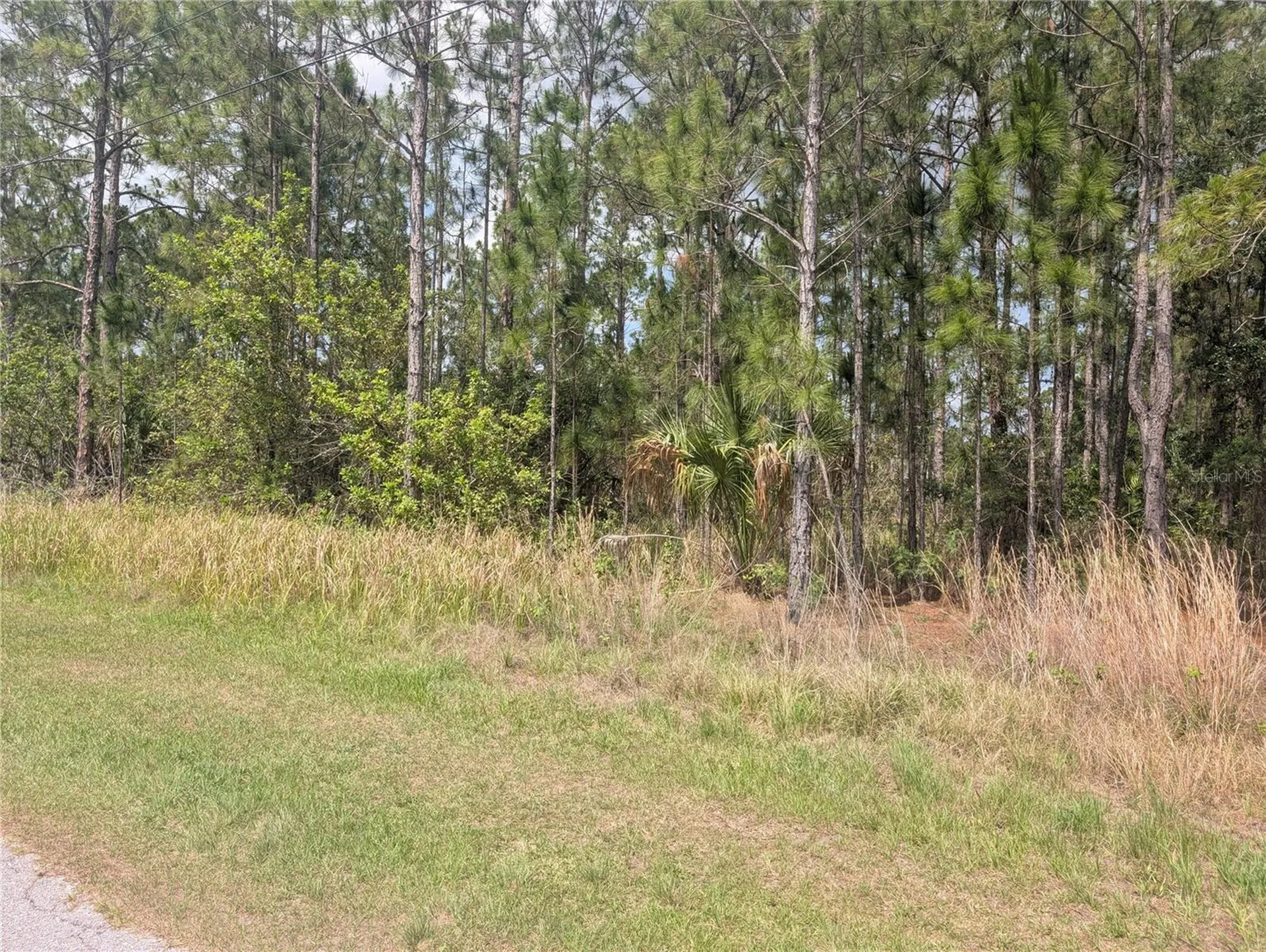 25 Amaryllis Drive Indian Lake Estates FL 33855