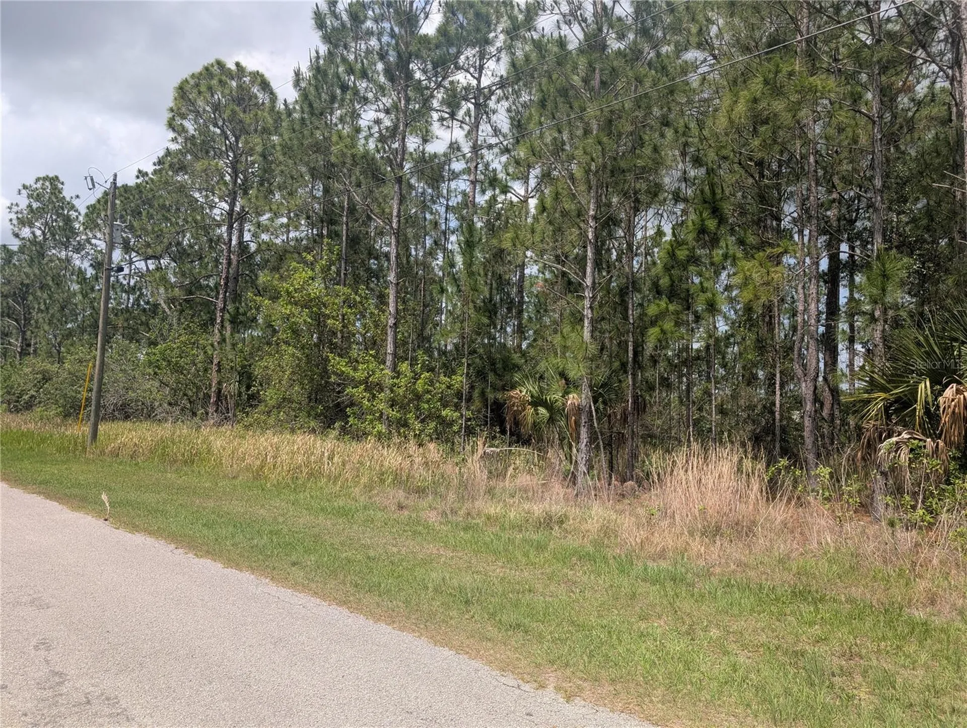 25 Amaryllis Drive Indian Lake Estates FL 33855