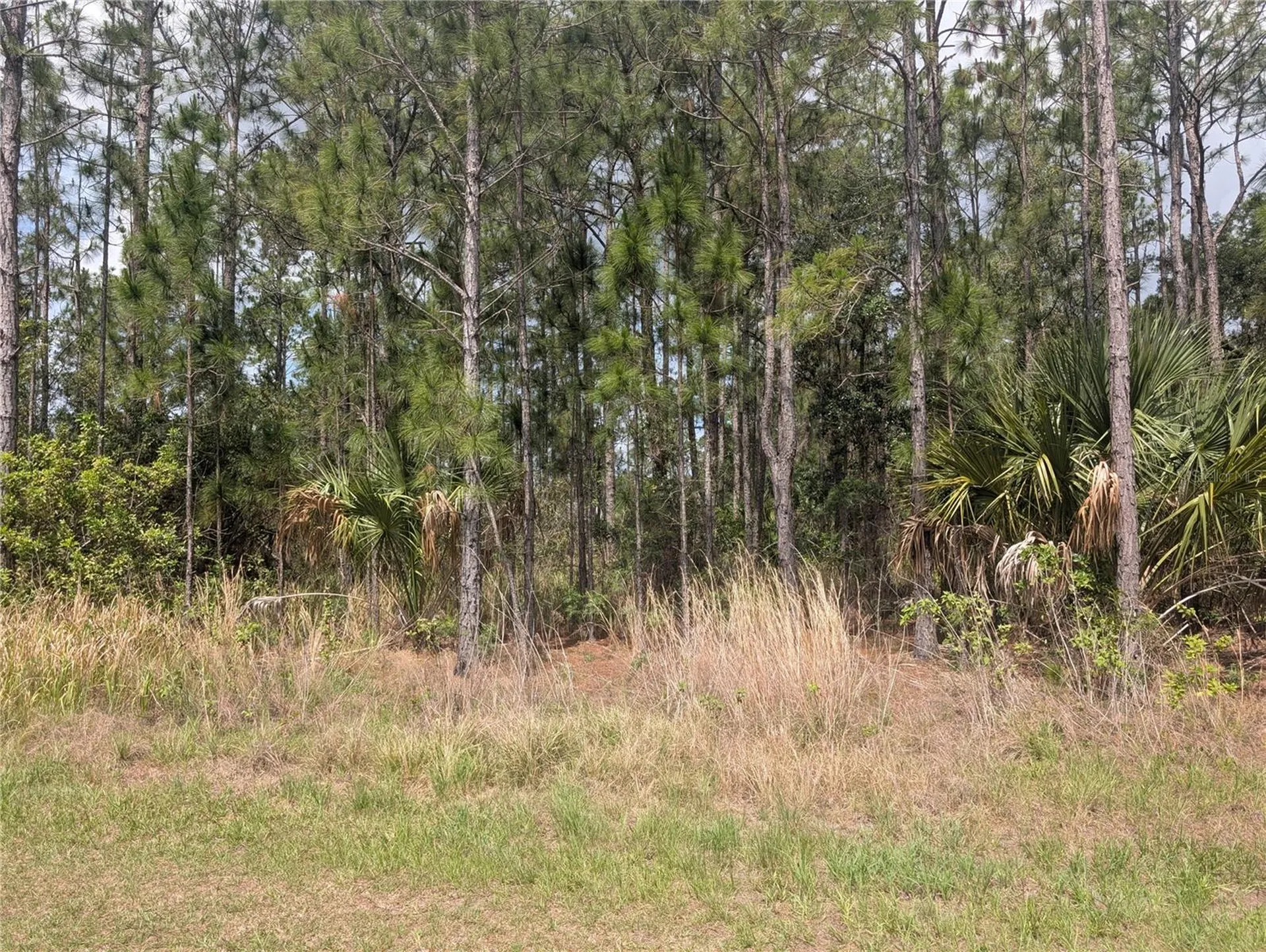 25 Amaryllis Drive Indian Lake Estates FL 33855