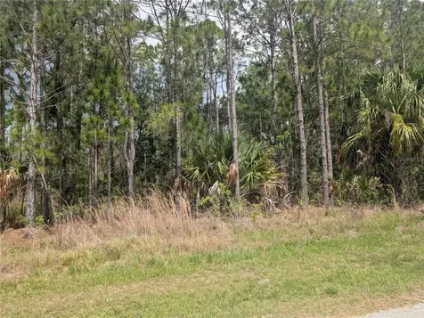 25 Amaryllis Drive Indian Lake Estates FL 33855