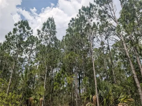 25 Amaryllis Drive Indian Lake Estates FL 33855