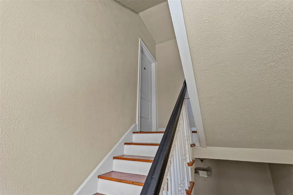 2117 W Dekle Avenue Tampa FL 33606