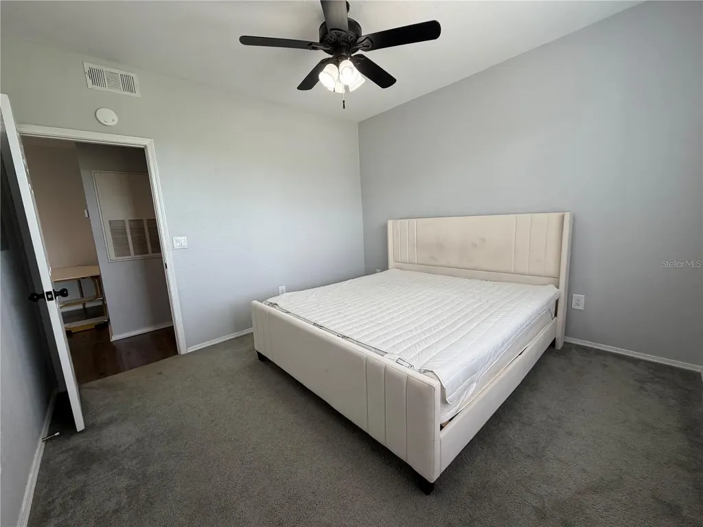 13115 Sanctuary Cove Drive Tampa FL 33637