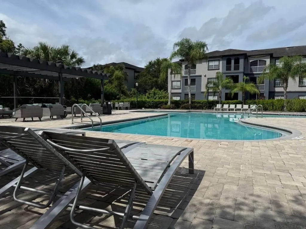 13115 Sanctuary Cove Drive Tampa FL 33637
