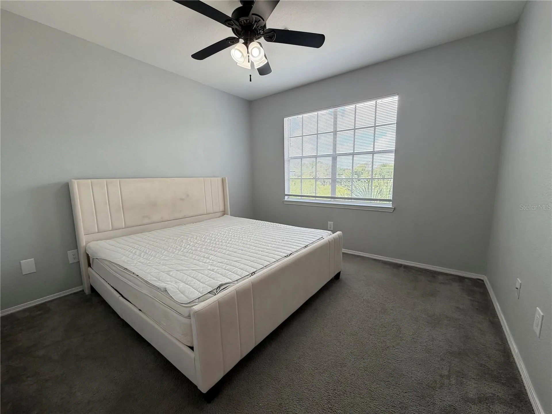 13115 Sanctuary Cove Drive Tampa FL 33637