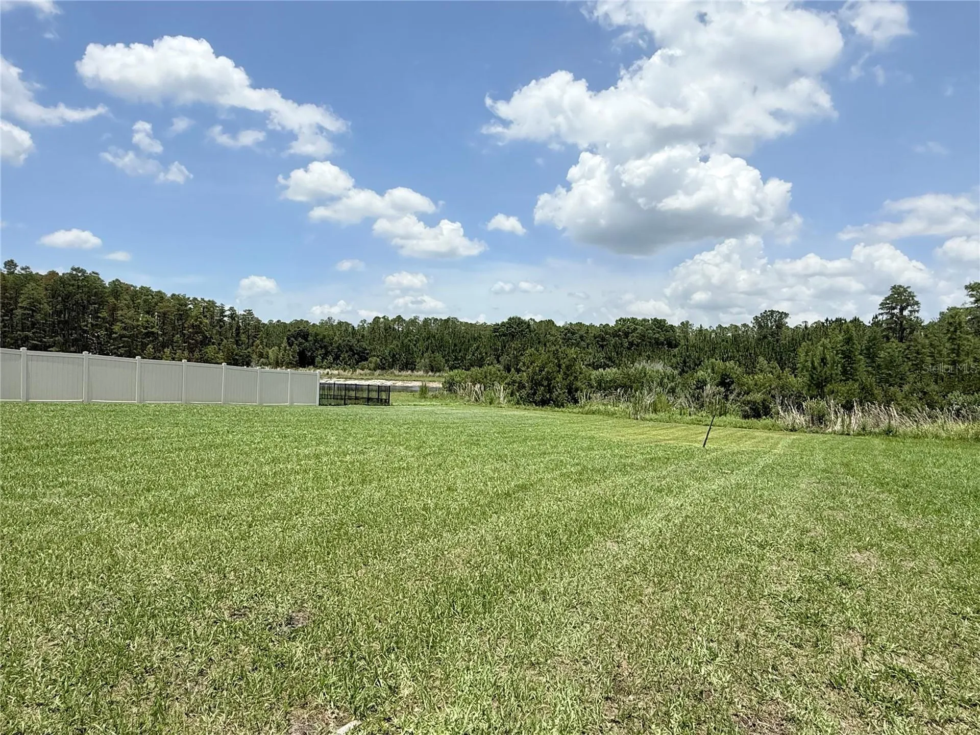 16091 Balboa Mist Court Odessa FL 33556
