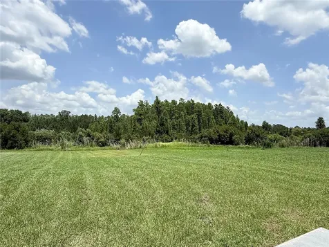 16091 Balboa Mist Court Odessa FL 33556