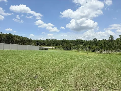 16091 Balboa Mist Court Odessa FL 33556
