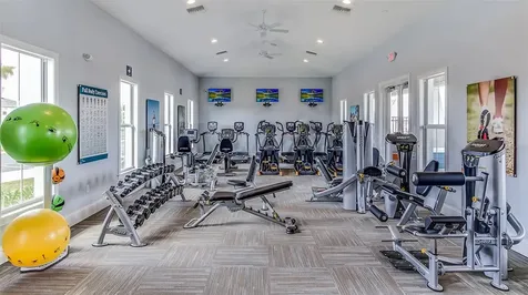 16091 Balboa Mist Court Odessa FL 33556