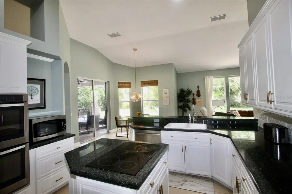 9041 Laurel Ridge Drive Mount Dora FL 32757