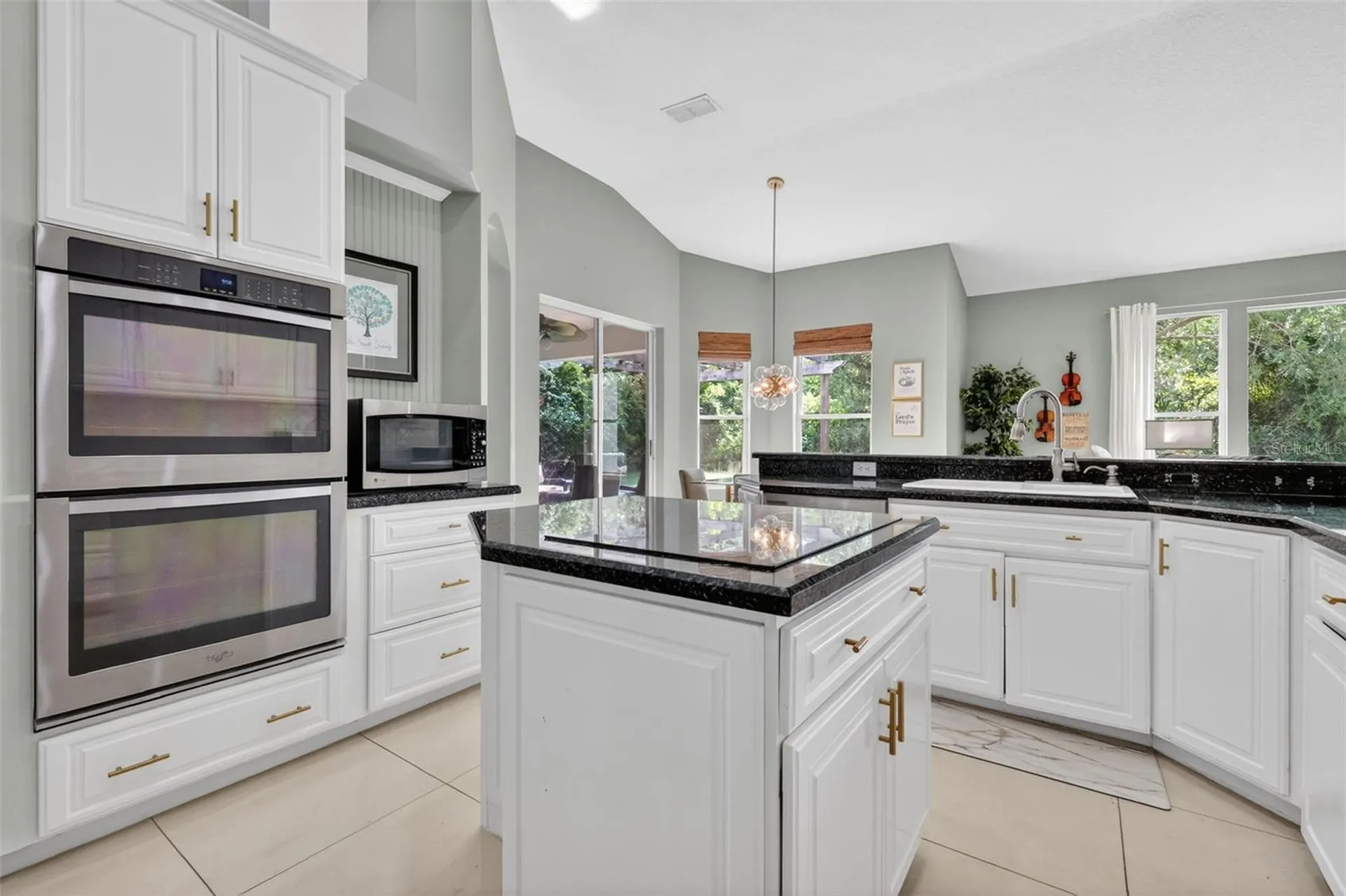 9041 Laurel Ridge Drive Mount Dora FL 32757