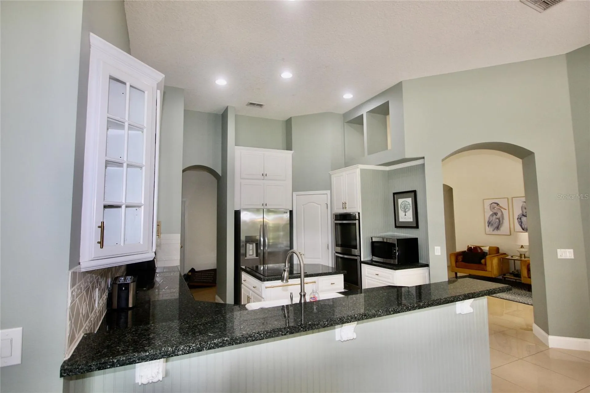 9041 Laurel Ridge Drive Mount Dora FL 32757