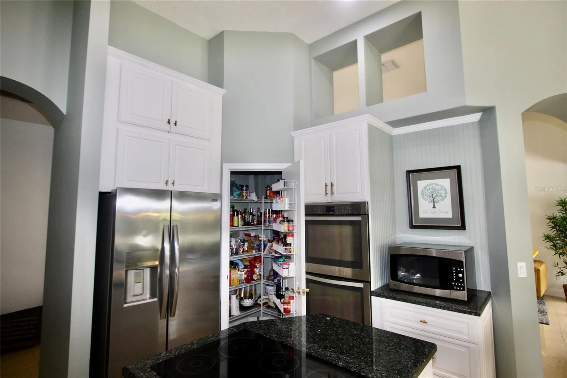 9041 Laurel Ridge Drive Mount Dora FL 32757