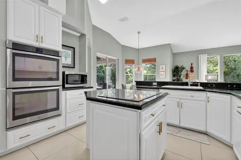 9041 Laurel Ridge Drive Mount Dora FL 32757