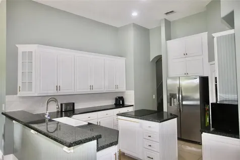 9041 Laurel Ridge Drive Mount Dora FL 32757