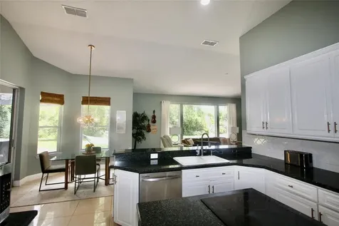9041 Laurel Ridge Drive Mount Dora FL 32757