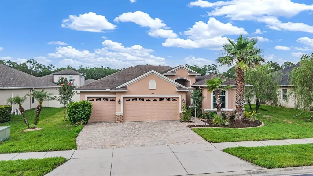 27205 Hawks Nest Circle Wesley Chapel FL 33544