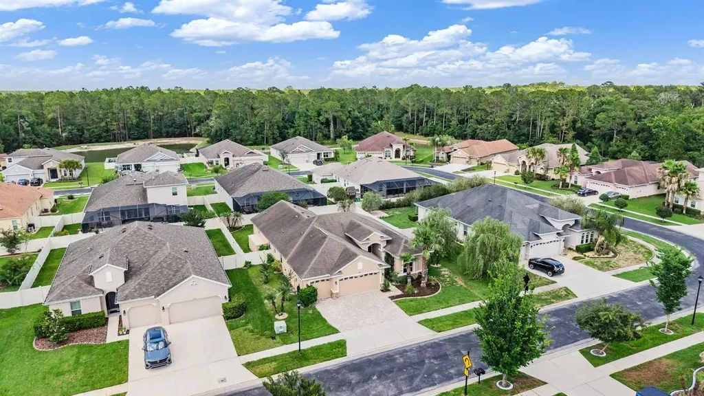 27205 Hawks Nest Circle Wesley Chapel FL 33544