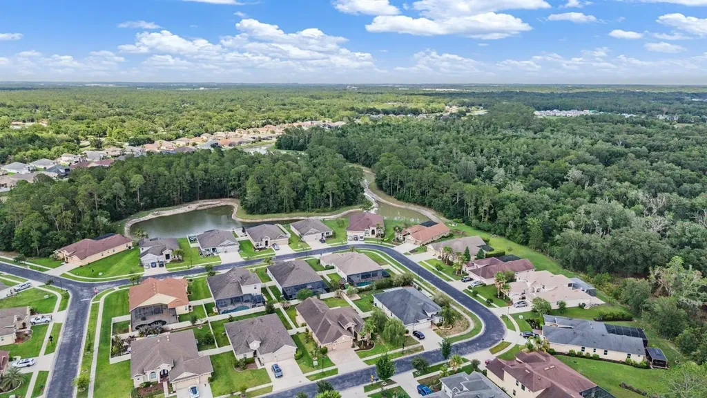 27205 Hawks Nest Circle Wesley Chapel FL 33544