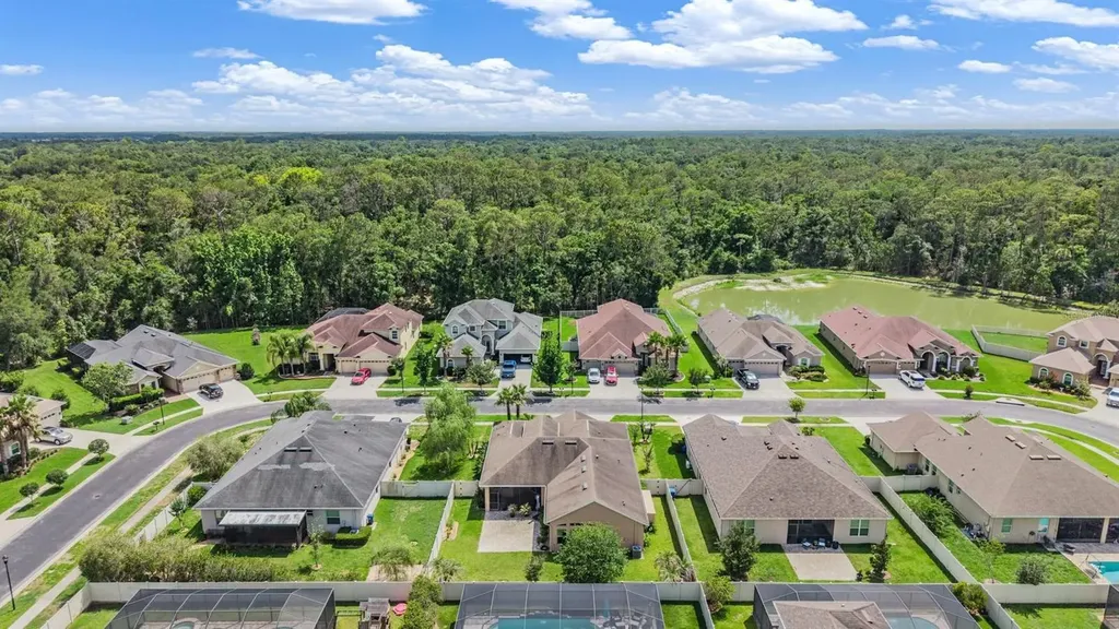 27205 Hawks Nest Circle Wesley Chapel FL 33544