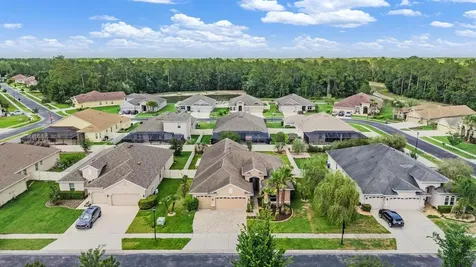 27205 Hawks Nest Circle Wesley Chapel FL 33544