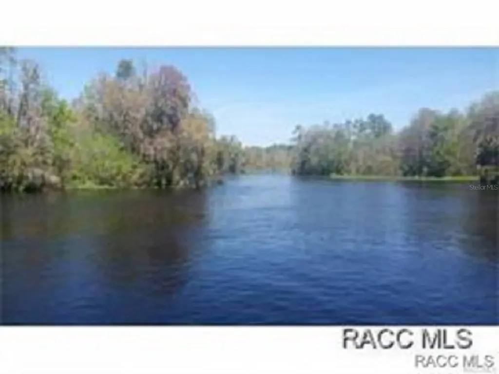 1598 W Spring Meadow Loop Lecanto FL 34461