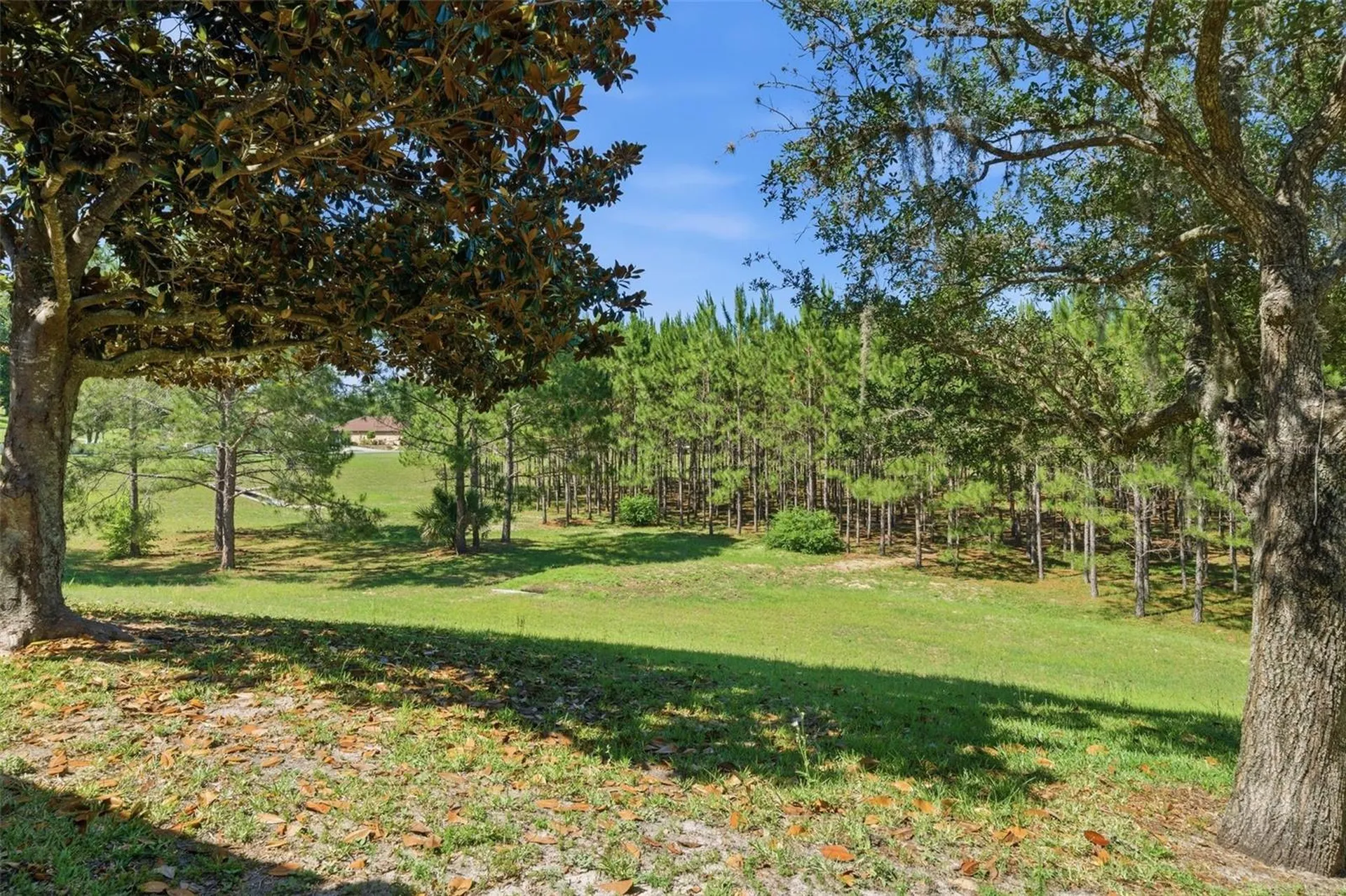 1598 W Spring Meadow Loop Lecanto FL 34461