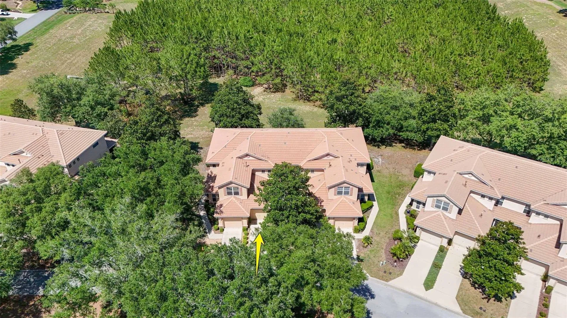 1598 W Spring Meadow Loop Lecanto FL 34461