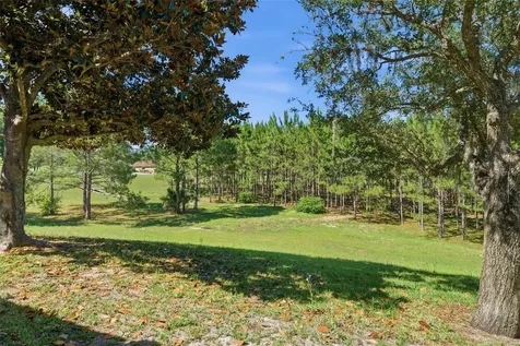 1598 W Spring Meadow Loop Lecanto FL 34461