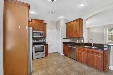 21040 Green Wing Court Land O Lakes FL 34637