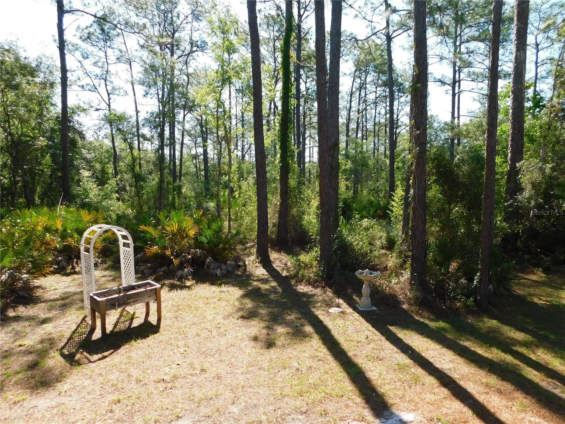 5535 S Will Point Homosassa FL 34446