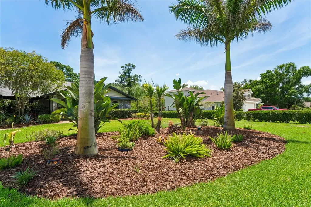 1087 Riverside Ridge Tarpon Springs FL 34688