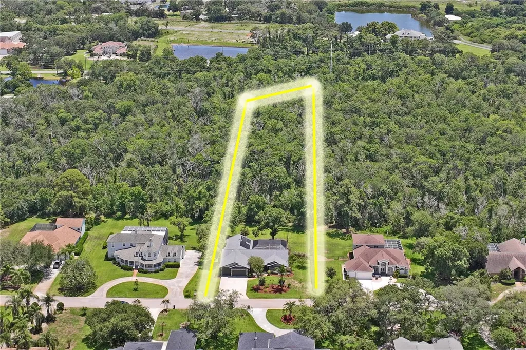 1087 Riverside Ridge Tarpon Springs FL 34688