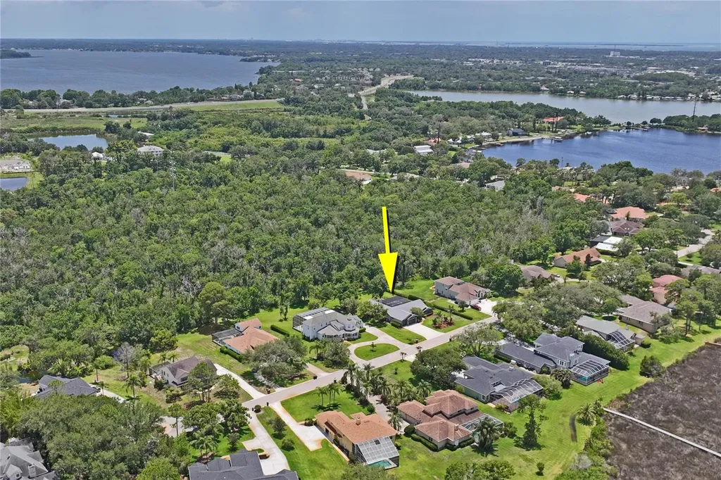 1087 Riverside Ridge Tarpon Springs FL 34688