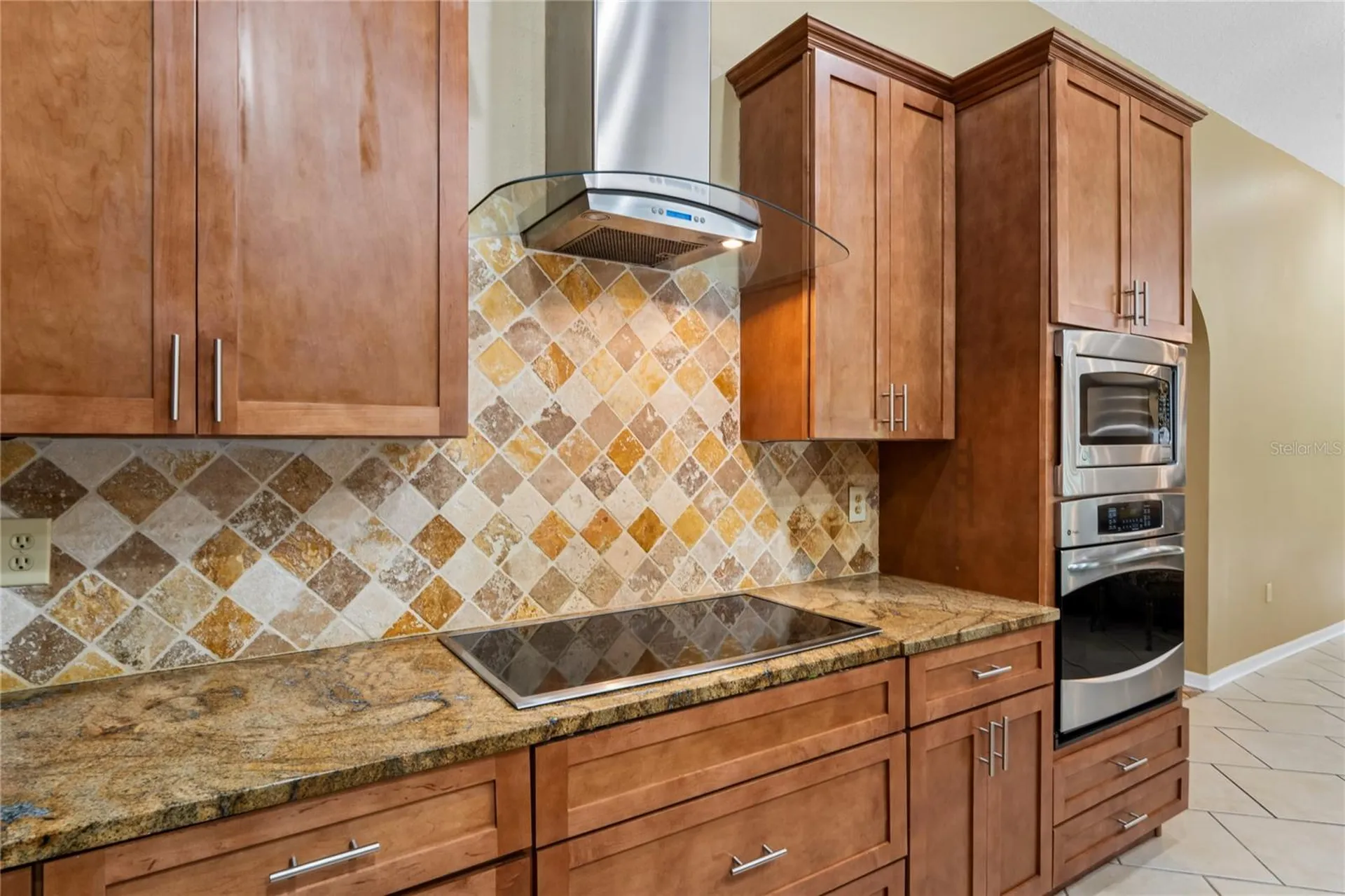 1087 Riverside Ridge Tarpon Springs FL 34688