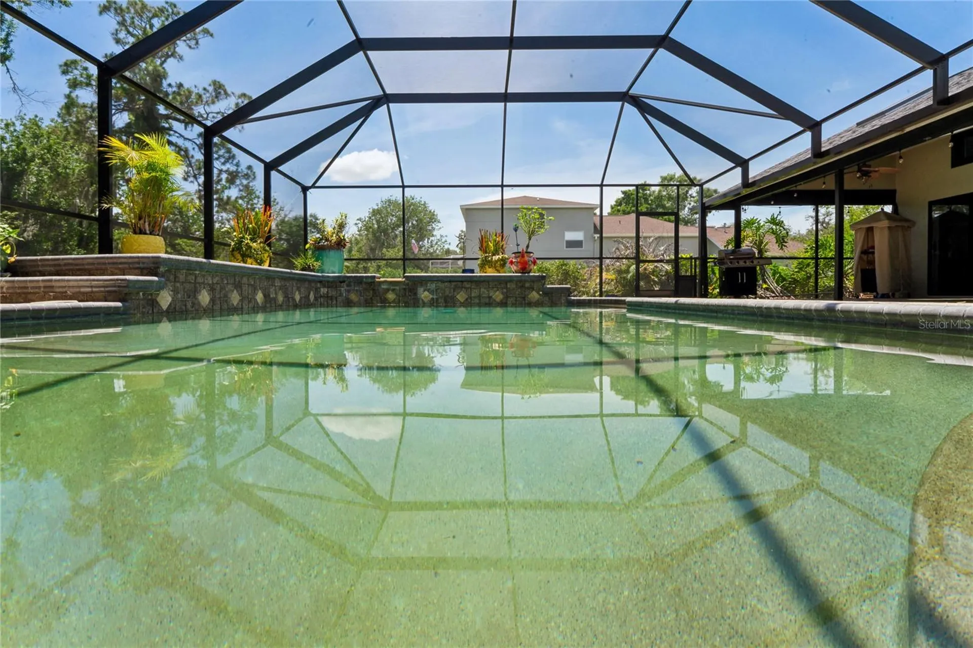 1087 Riverside Ridge Tarpon Springs FL 34688