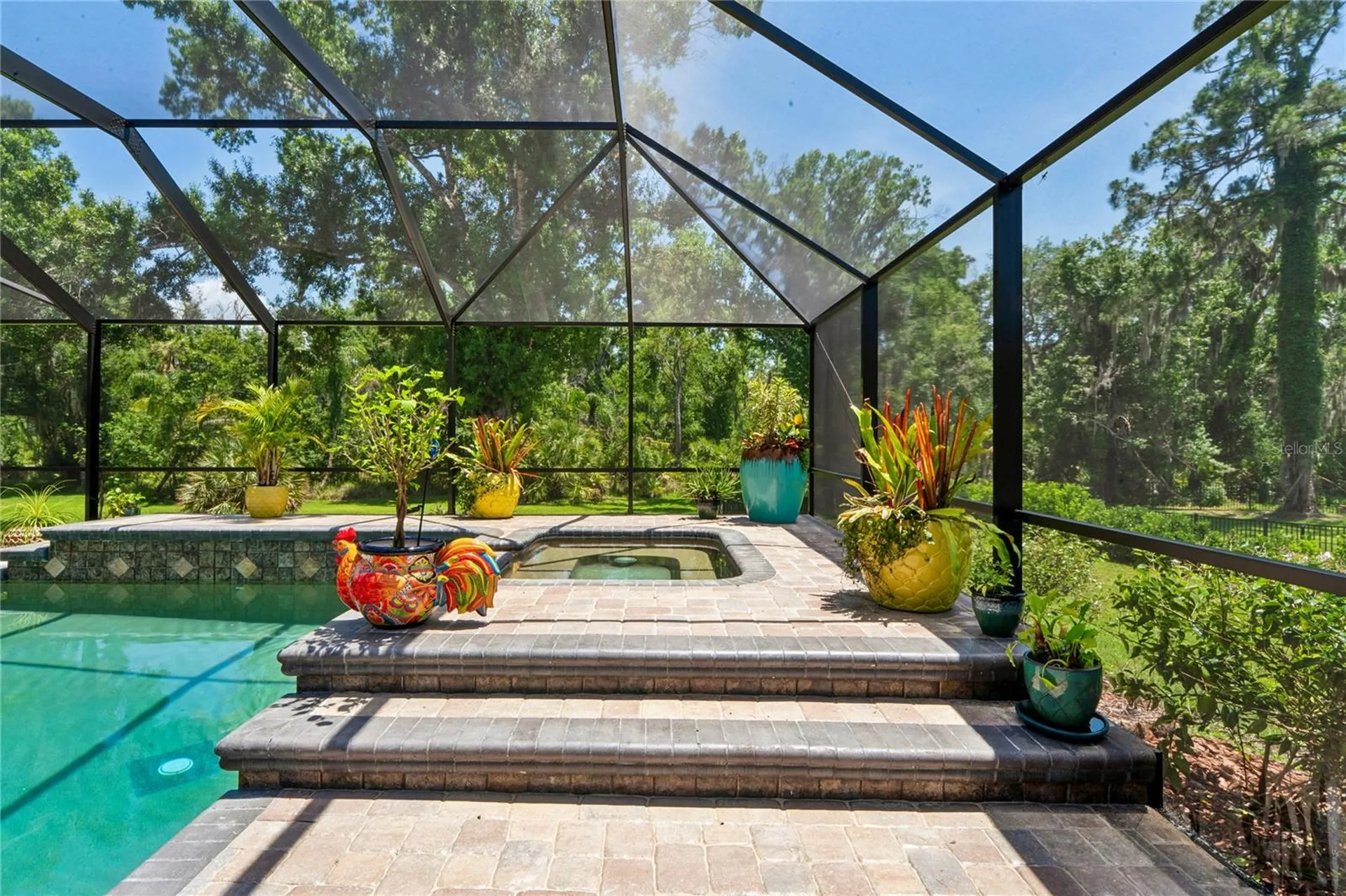1087 Riverside Ridge Tarpon Springs FL 34688