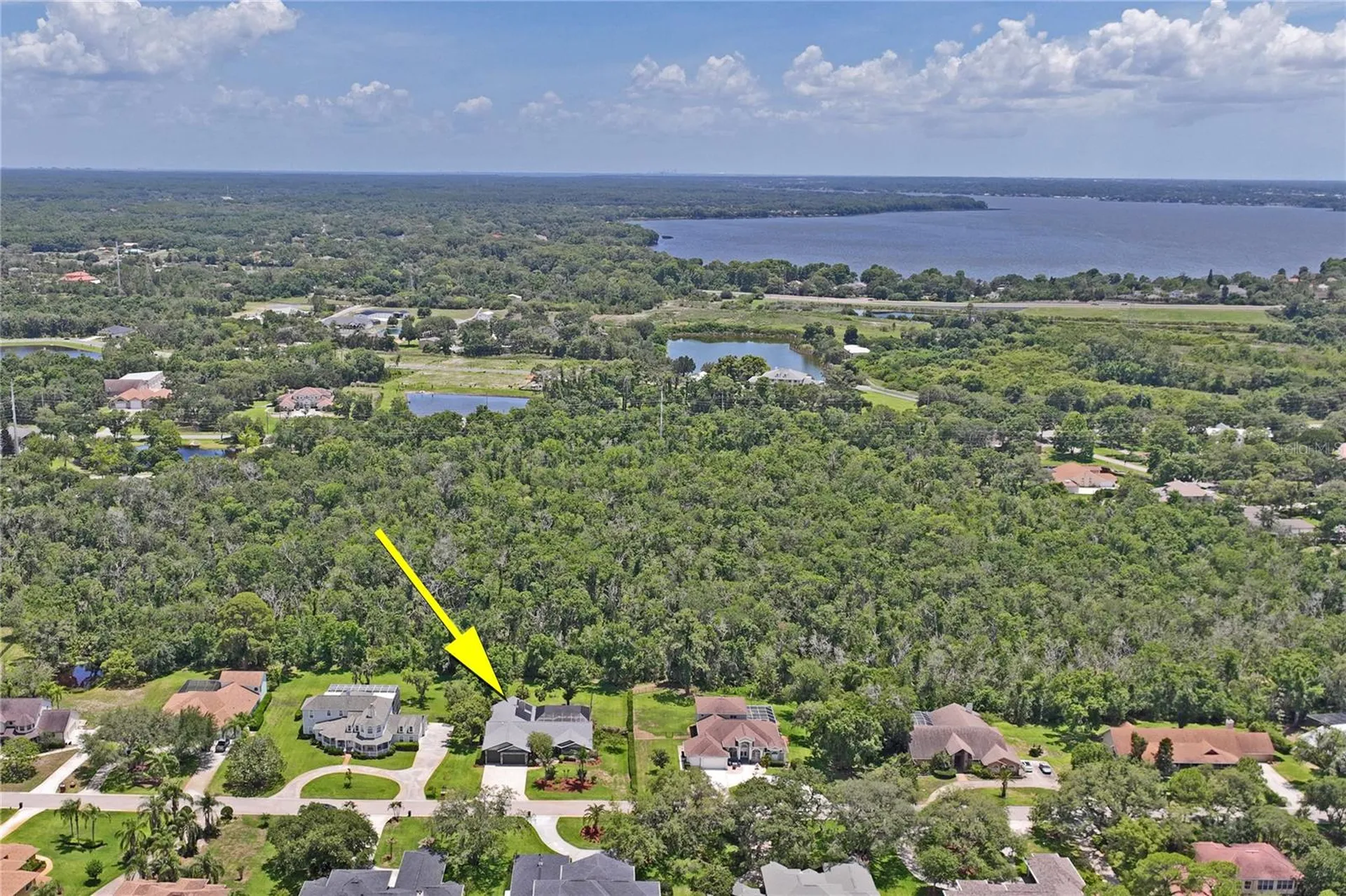 1087 Riverside Ridge Tarpon Springs FL 34688