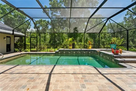 1087 Riverside Ridge Tarpon Springs FL 34688