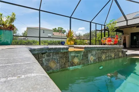 1087 Riverside Ridge Tarpon Springs FL 34688