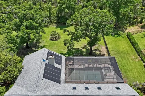1087 Riverside Ridge Tarpon Springs FL 34688