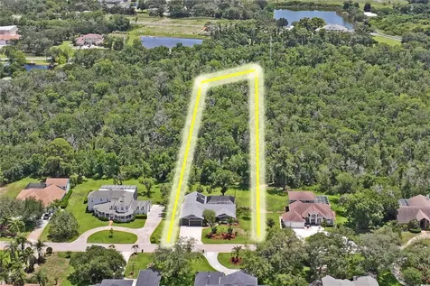 1087 Riverside Ridge Tarpon Springs FL 34688